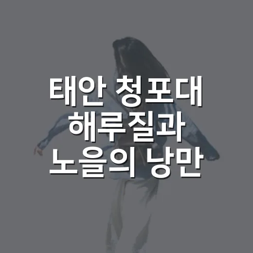 태안 청포대 해루질과 노을의 낭만