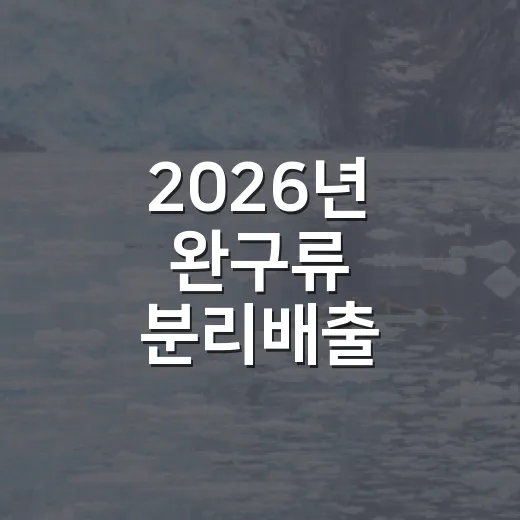 2026년 완구류 분리배출 완전정복