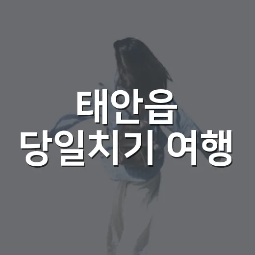 태안읍 당일치기 여행, 역사와 문화 속으로