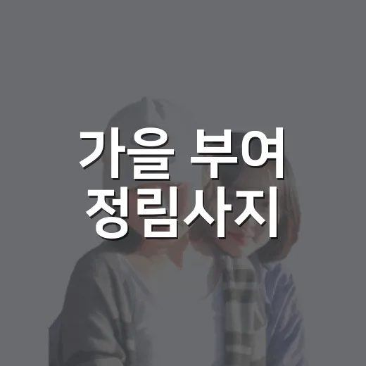 가을 부여 정림사지, 백제문화제 전야제 현장