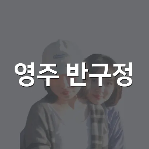 영주 반구정, 역사와 풍경이 어우러진 산책길