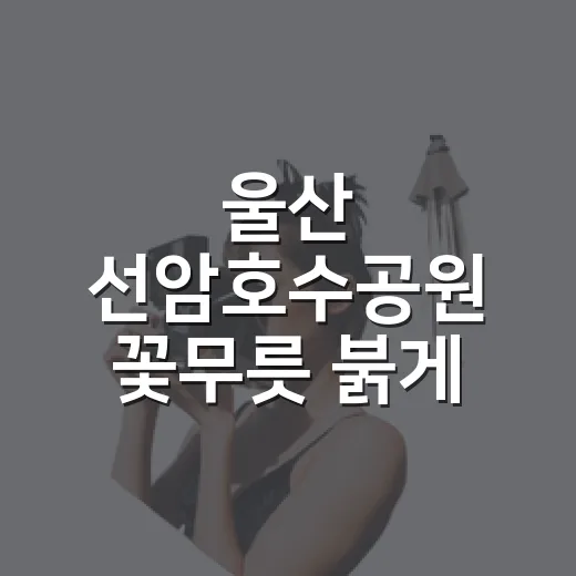울산 선암호수공원 꽃무릇 붉게 물들다