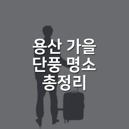 용산 가을 단풍 명소 총정리