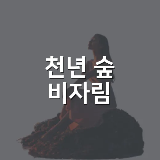 천년 숲 비자림, 제주 가을 산책 명소
