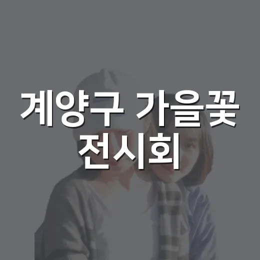 계양구 가을꽃 전시회, 감성 가득한 가을 풍경
