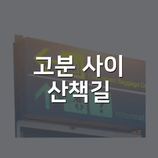 고분 사이 산책길, 의성 조문국사적지의 매력