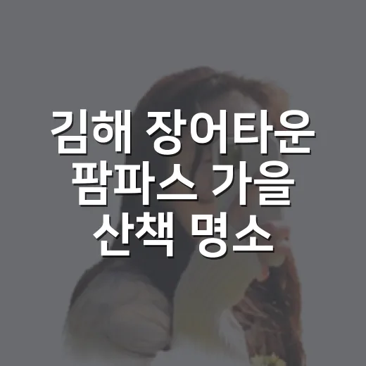 김해 장어타운 팜파스 가을 산책 명소