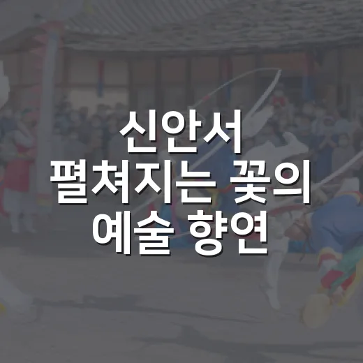 신안서 펼쳐지는 꽃의 예술 향연
