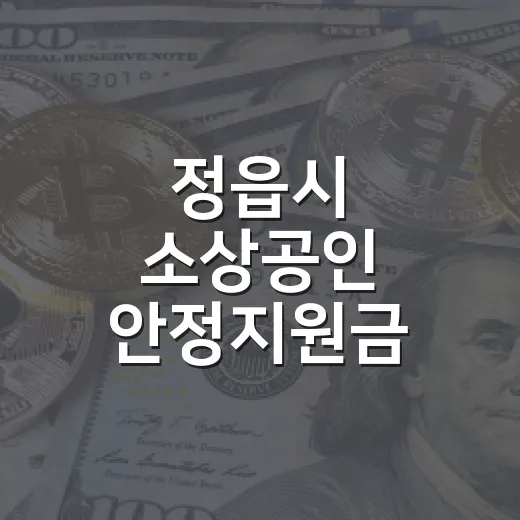정읍시 소상공인 안정지원금 신청 안내