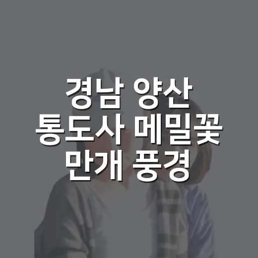 경남 양산 통도사 메밀꽃 만개 풍경