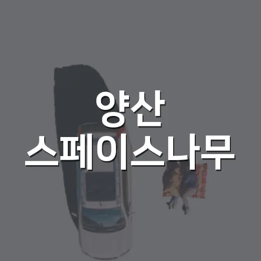 양산 스페이스나무, 전시와 정원 산책의 여유