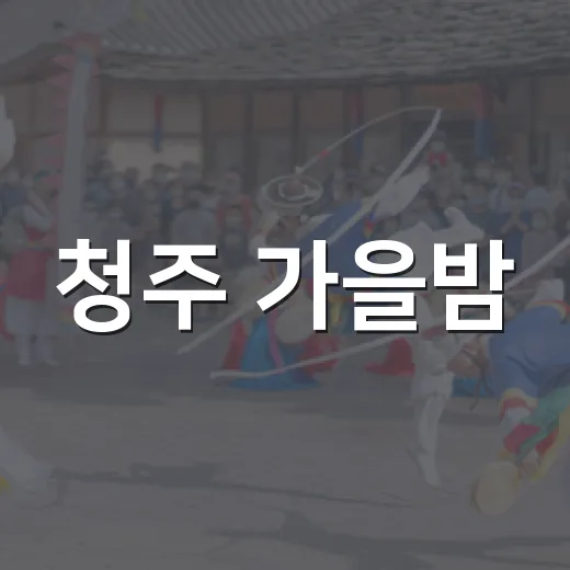 청주 가을밤, 빛과 예술의 향연
