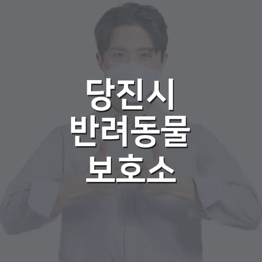 당진시 반려동물 보호소, 생명 존중의 현장