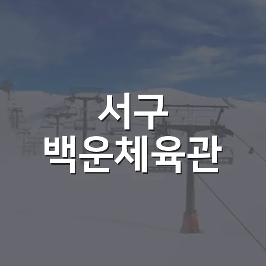 서구 백운체육관, 일상 속 배드민턴 명소