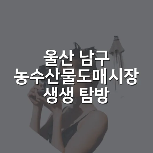 울산 남구 농수산물도매시장 생생 탐방기