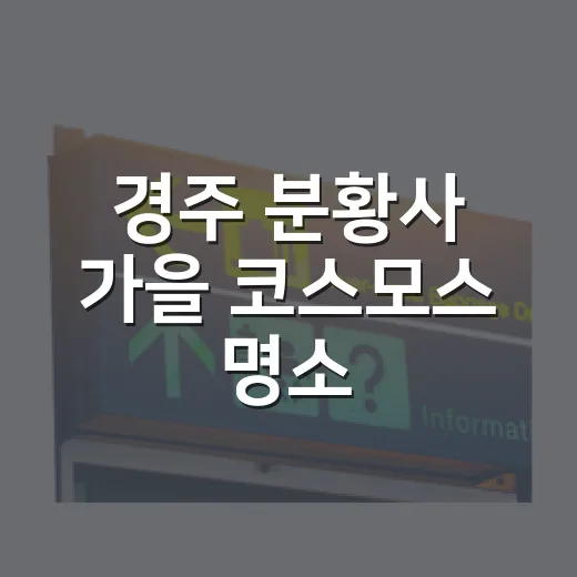 경주 분황사 가을 코스모스 명소
