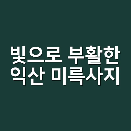 빛으로 부활한 익산 미륵사지, 21만 명 방문 기록