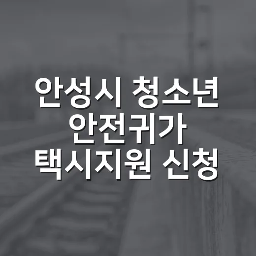 안성시 청소년 안전귀가 택시지원 신청 연장