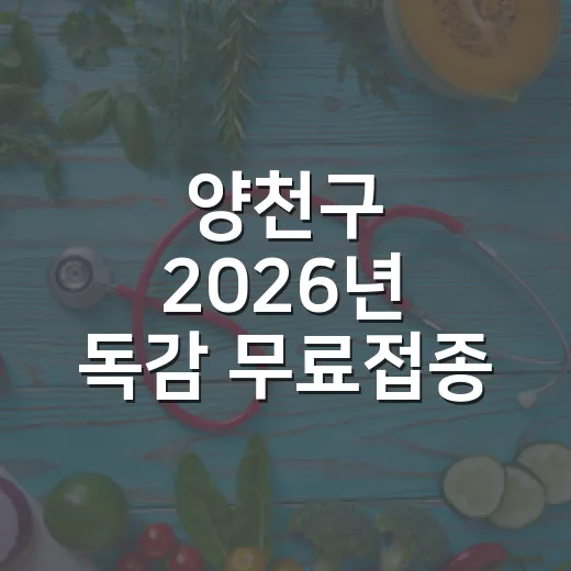 양천구 2026년 독감 무료접종 확대 시행