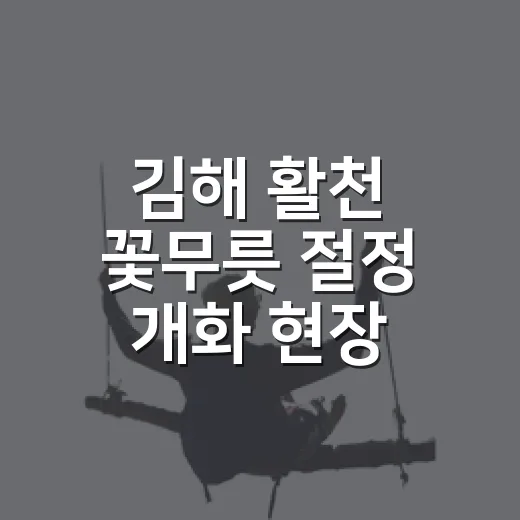 김해 활천 꽃무릇 절정 개화 현장