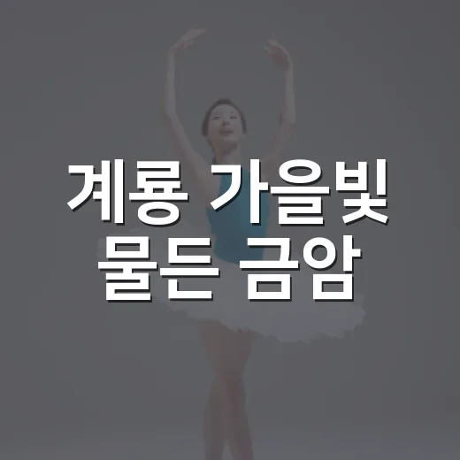 계룡 가을빛 물든 금암·엄사 상상 페스티벌