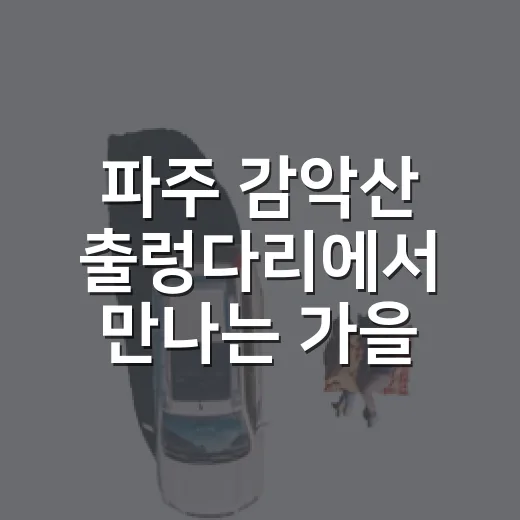 파주 감악산 출렁다리에서 만나는 가을 절경