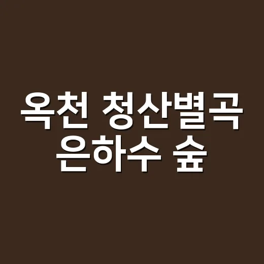옥천 청산별곡 은하수 숲, 자연휴양림 지정 승인