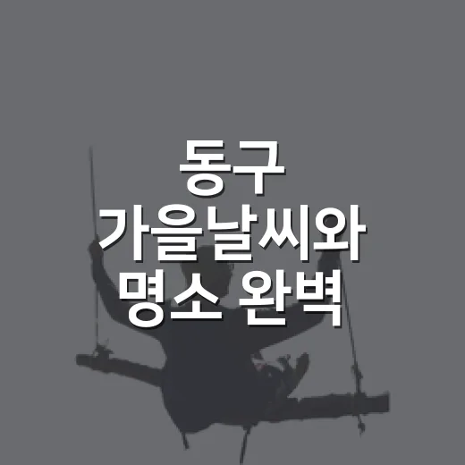 동구 가을날씨와 명소 완벽 가이드