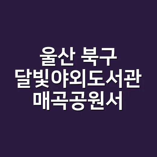 울산 북구 달빛야외도서관 매곡공원서 성황
