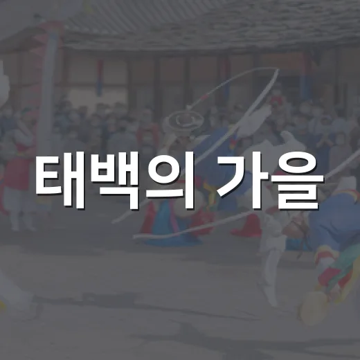 태백의 가을, 제45회 태백제 다채로운 축제