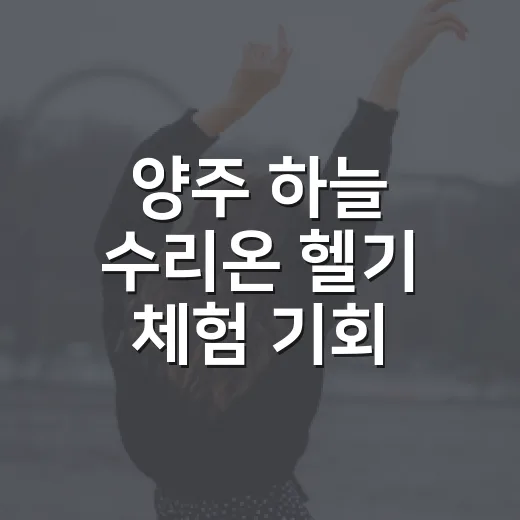 양주 하늘 수리온 헬기 체험 기회