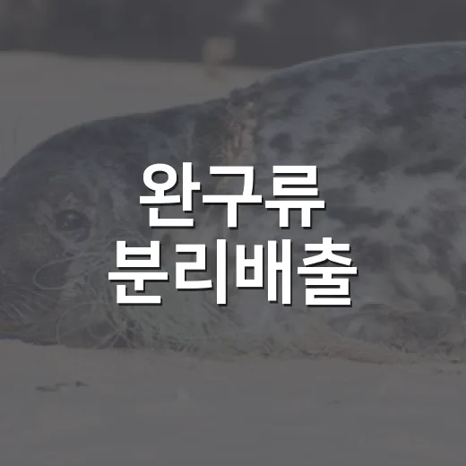 완구류 분리배출, 지구를 위한 첫걸음