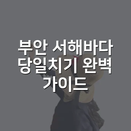 부안 서해바다 당일치기 완벽 가이드