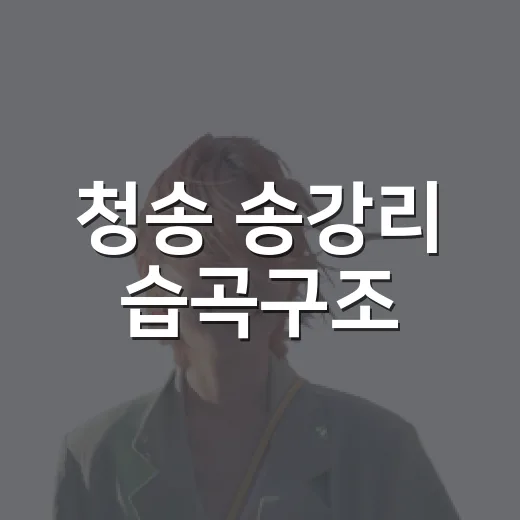 청송 송강리 습곡구조, 5억년 지각변동의 현장