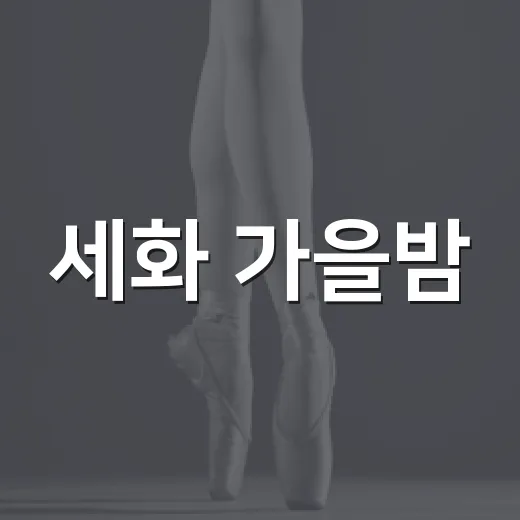 세화 가을밤, 음악과 맛의 축제
