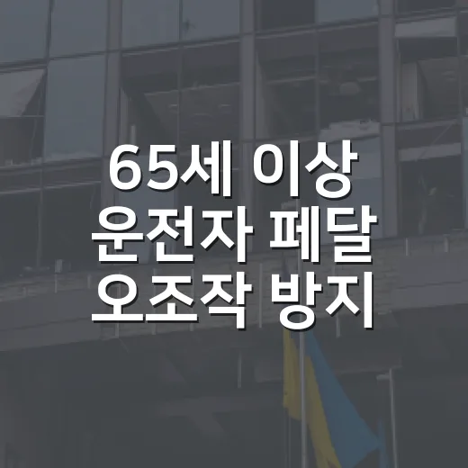 65세 이상 운전자 페달 오조작 방지장치 무상 지원