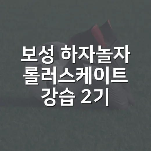 보성 하자놀자 롤러스케이트 강습 2기 모집