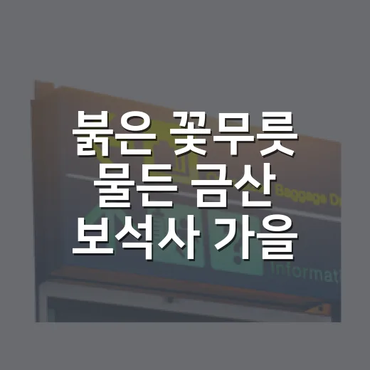 붉은 꽃무릇 물든 금산 보석사 가을 풍경
