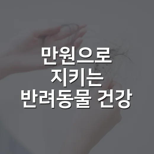 만원으로 지키는 반려동물 건강