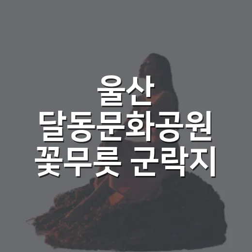 울산 달동문화공원 꽃무릇 군락지 가을 풍경