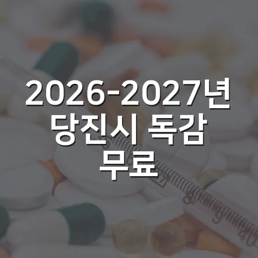 2026-2027년 당진시 독감 무료접종 일정 안내