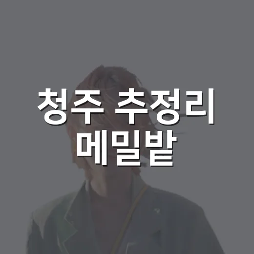 청주 추정리 메밀밭, 가을 눈꽃 풍경