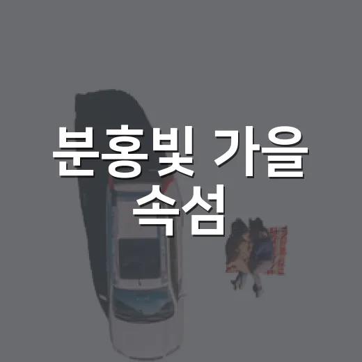 분홍빛 가을 속섬, 정선의 새로운 명소