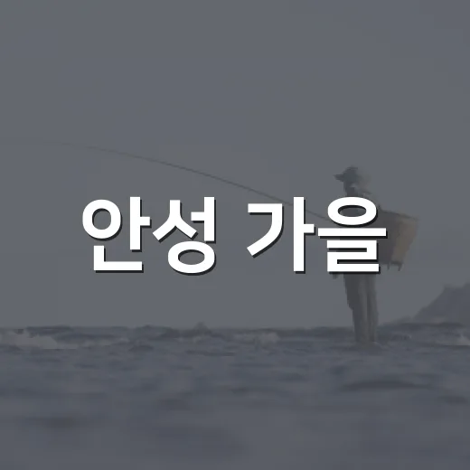 안성 가을, 축제와 감성 가득 소식