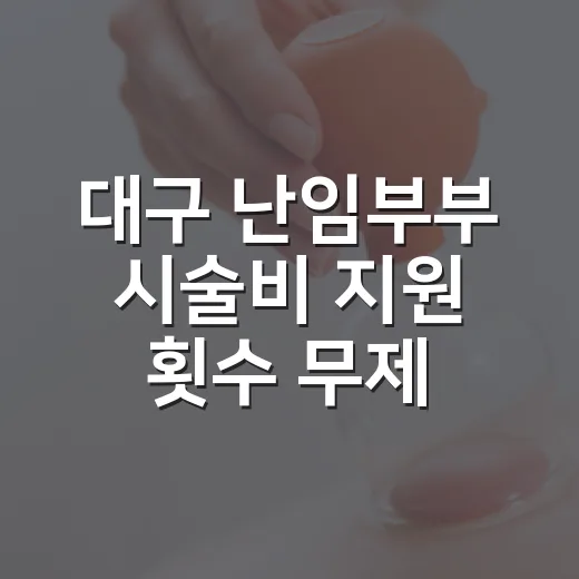 대구 난임부부 시술비 지원 횟수 무제한 확대