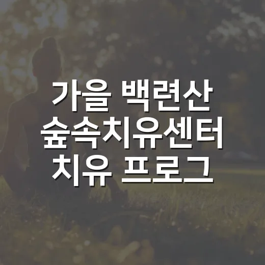 가을 백련산 숲속치유센터 치유 프로그램