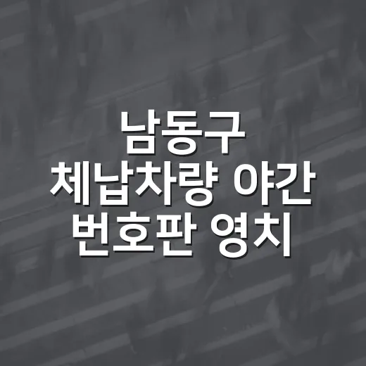 남동구 체납차량 야간 번호판 영치 단속