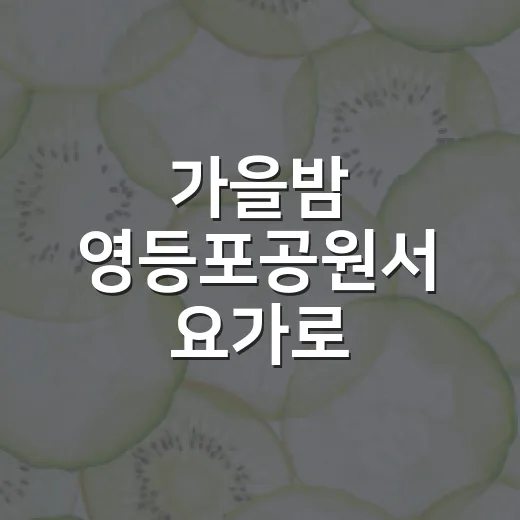 가을밤 영등포공원서 요가로 힐링하세요
