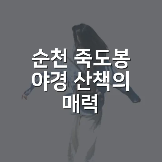 순천 죽도봉 야경 산책의 매력