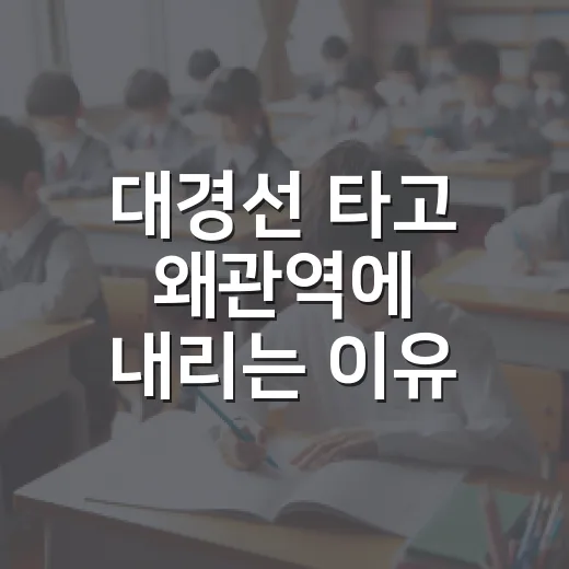대경선 타고 왜관역에 내리는 이유